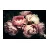 SI PEONY FLOWERS Utolsó 1db  Rózsaszín Képkeret