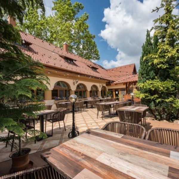 DL PANDA CHOCOLATE Barna elegáns Polirattan kültéri szék