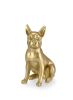BT BOSTON TERRIER Arany design, modern Beltéri dekor
