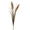 B ARTIFICAL REED 2db Barna modern Beltéri dekor