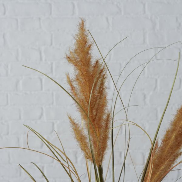 B ARTIFICAL REED 2db Barna modern Beltéri dekor