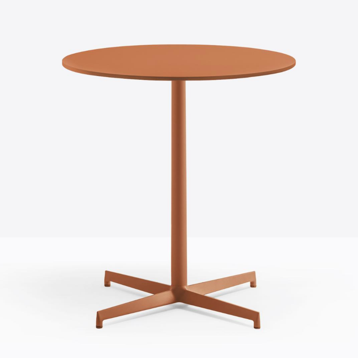 PEDRALI  LAJA  5420 Multiple colors elegant Normal height