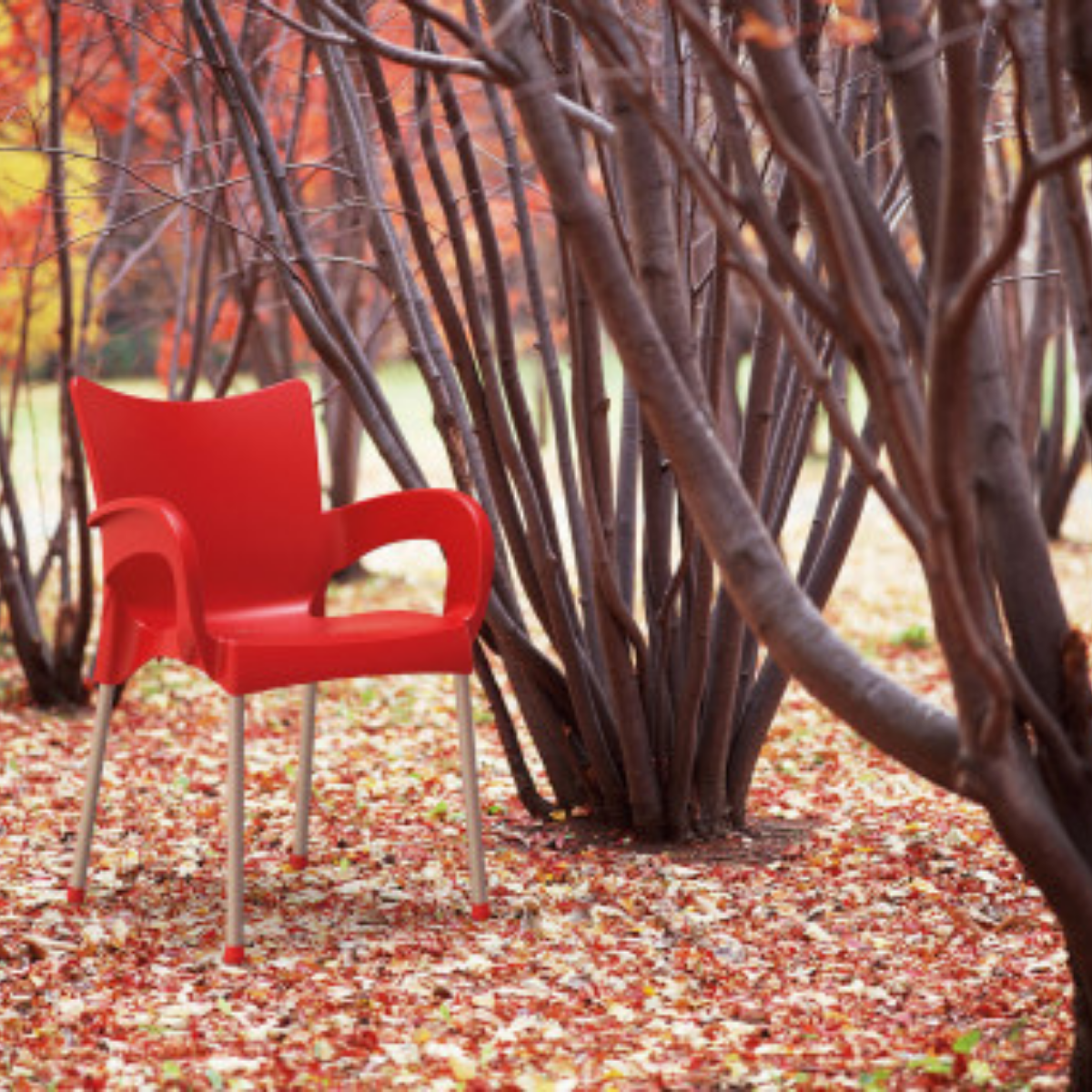 ST ROMEO Piros design Műanyag kültéri szék