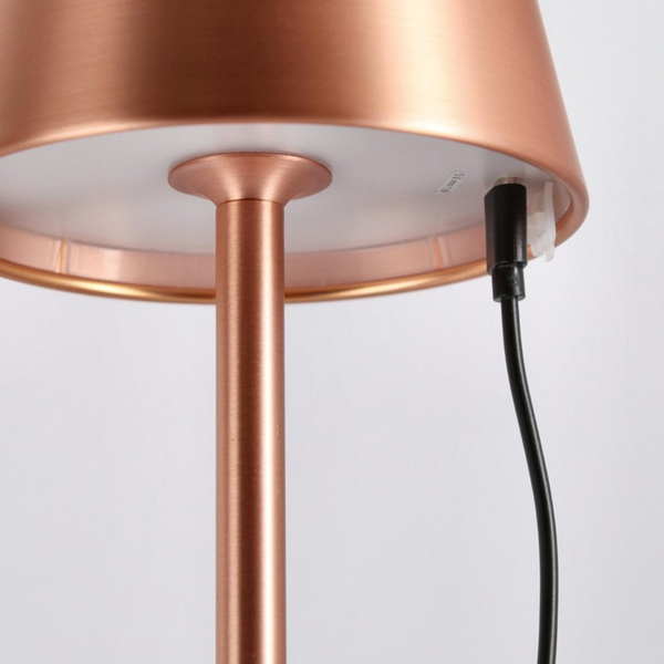 BT ANETTE Bronz modern Beltéri asztali lámpa