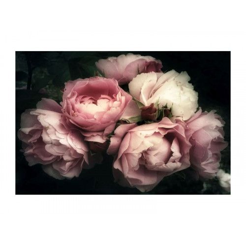 SI PEONY FLOWERS Utolsó 1db  Rózsaszín Képkeret